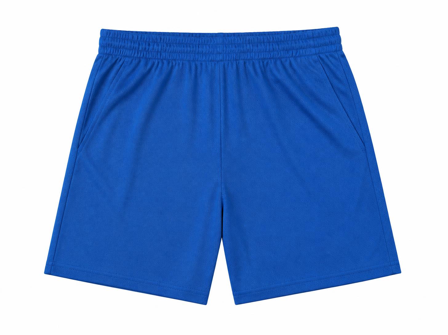 Men's Quick-Dry Athletic Shorts - Royal Blue
